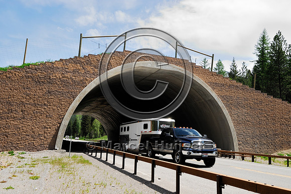 Car with trailer underneath wildlife overpas US Hwy 93, MT