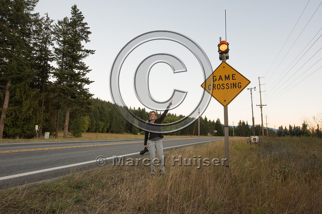 Fernanda Abra at animal detection system, north of Bonners Ferry