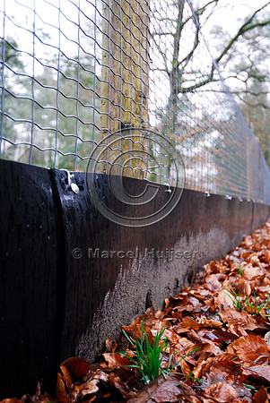 Wildlife fences, N302, Leuvenumseweg, Sonnevanck, east of Harderwijk, The Netherlands