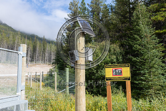 Electrified barrier to keep bears off the highway, exit Lake O'H