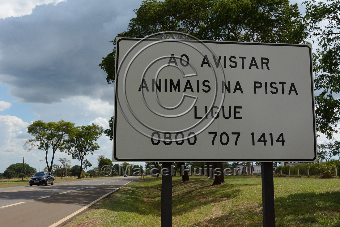 Domestic animal warning sign, "when you see animals on the road call 0800 707 1414, BR-369, near Casa Branca, São Paulo, Brazil