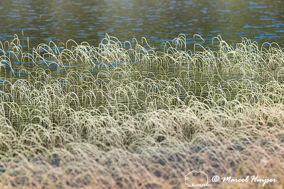 Late season at Lake Elsina, Montana
