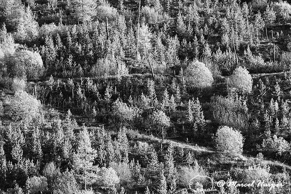 The road up the hill, Montana
