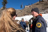 Bighorn sheep (Ovis canadensis) capturing, collaring, and health