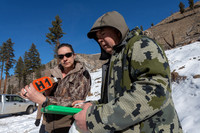 Bighorn sheep (Ovis canadensis) capturing, collaring, and health