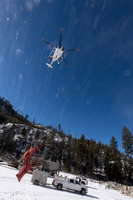 Bighorn sheep (Ovis canadensis) capturing, collaring, and health