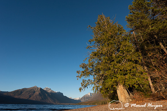 The shore of Lake McDonald, Glacier National Park, Montana