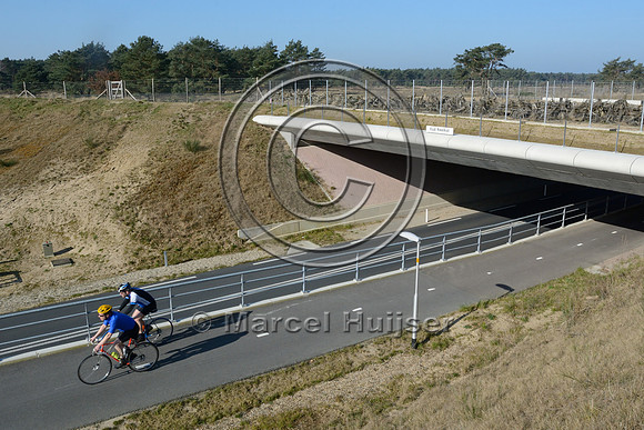 Bicycle path and under wildlife overpass "Oud Reemst" (about 35 m wide), south of Otterlo, The Netherlands