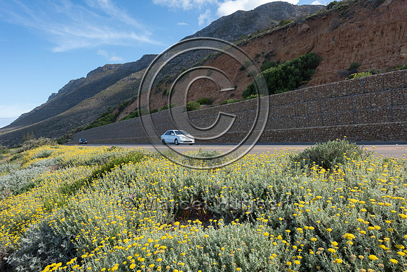 Retaining wall, near Simon's Town, Western Cape, South Africa