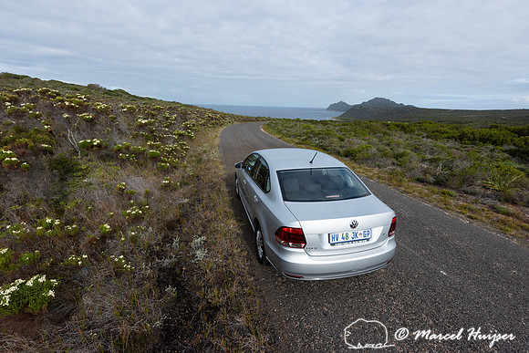 Car on road through flowering fijnbos vegetation, Cape Point, Ta
