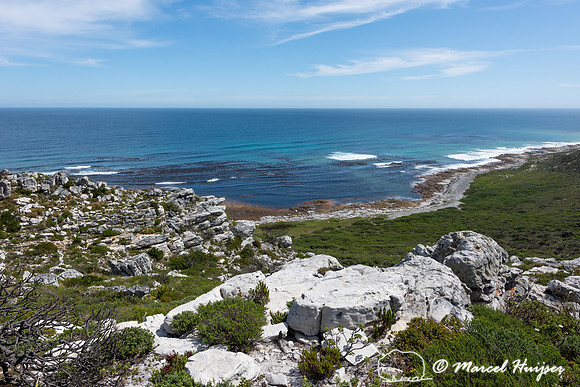 South Atlantic Ocean and fijnbos vegetation, Cape Point, Table M