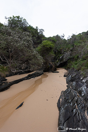 Coast, Storms River, Eastern Cape, South Africa
