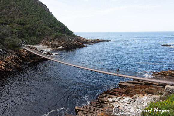 Hiking trail, Storms River, Eastern Cape, South Africa