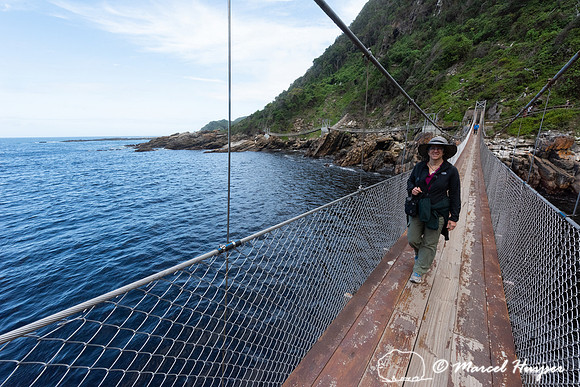 Hiking trail, Storms River, Eastern Cape, South Africa