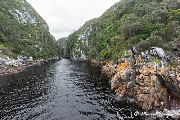 Storms River, Eastern Cape, South Africa