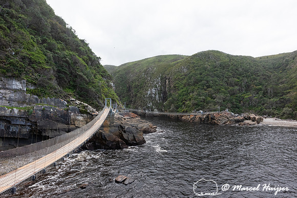 Hiking trail, Storms River, Eastern Cape, South Africa