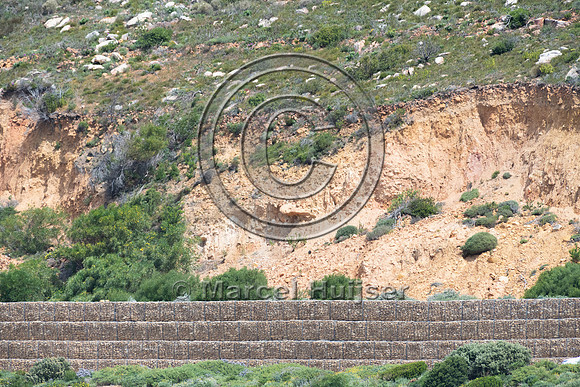 Retaining wall, near Simon's Town, Western Cape, South Africa