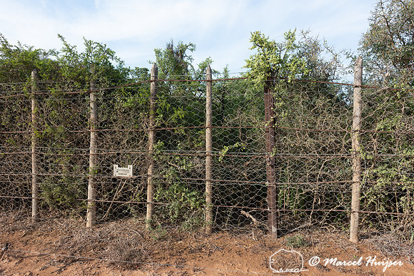 Elephant fence, Addo Elephant National Park, Eastern Cape, South