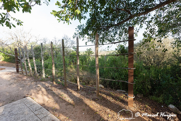 Elephant fence, Addo Elephant National Park, Eastern Cape, South