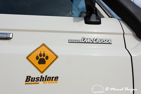Landcruiser from Bushlore, Addo Elephant National Park, Eastern