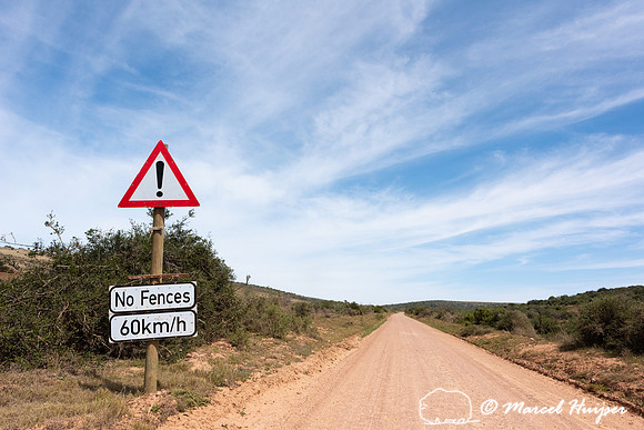 Warning sign, no fences, 60 km per hour, Addo Elephant National