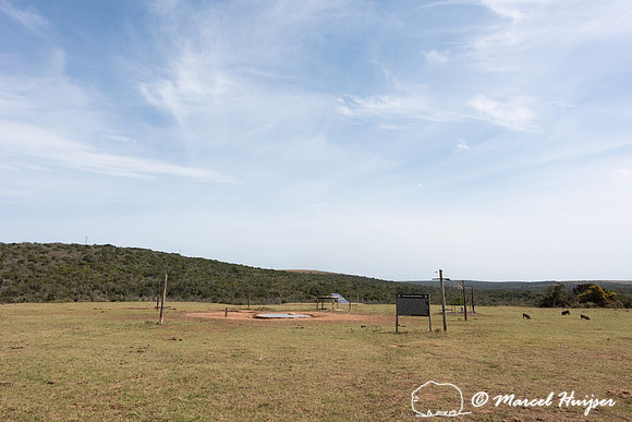 Electrified strings to exclude elephants from a waterhole, Addo