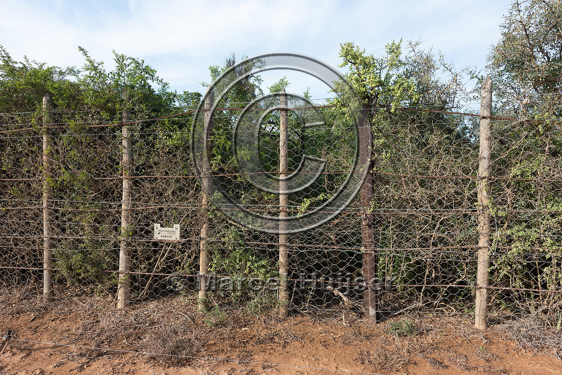 Elephant fence, Addo Elephant National Park, Eastern Cape, South