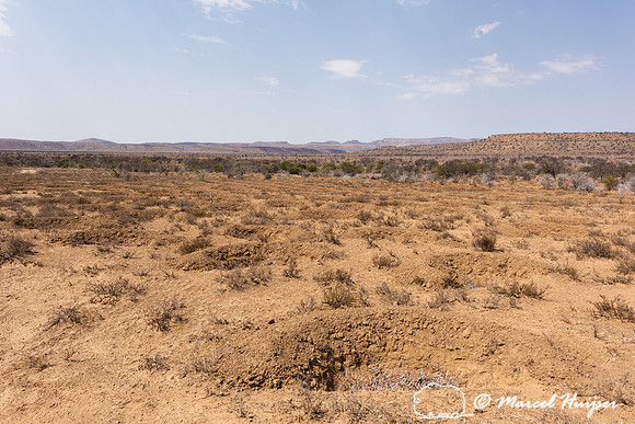 Ecological restoration through reducing erosion, Mountain Zebra