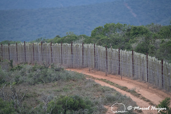 Elephant fence, Addo Elephant National Park, Eastern Cape, South