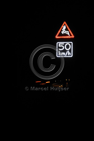 Animal detection system at night, Harderwijk, The Netherlands