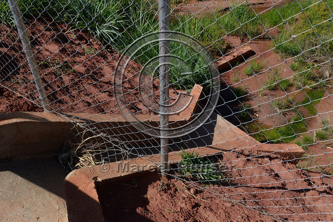 Drainage from road under wildlife fence SP-270 about 70 km south east of Presidente Prudente, São Paulo, Brazil