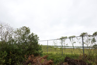 Wildlife fence for black bear (Ursus americanus), 3 m high (10 f