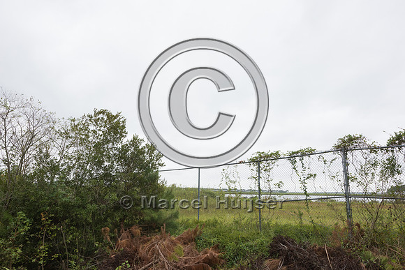 Wildlife fence for black bear (Ursus americanus), 3 m high (10 f