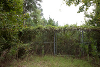 Gate for human access in wildlife fence for black bear (Ursus am