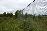 Wildlife fence for black bear (Ursus americanus), 3 m high (10 f