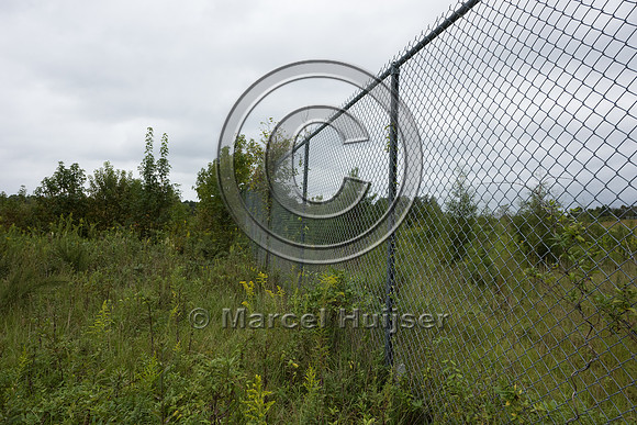 Wildlife fence for black bear (Ursus americanus), 3 m high (10 f