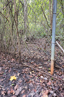 Gap and wildlife trail under wildlife fence for black bear (Ursu