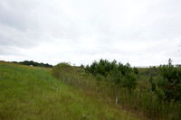 Wildlife fence for black bear (Ursus americanus), 3 m high (10 f