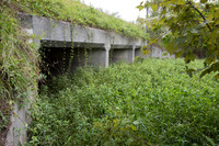 Divided culverts for water, and wildlife fence for black bear (U