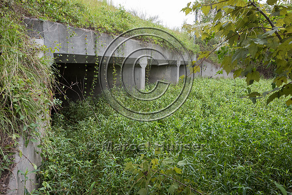 Divided culverts for water, and wildlife fence for black bear (U
