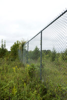 Wildlife fence for black bear (Ursus americanus), 3 m high (10 f