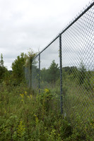 Wildlife fence for black bear (Ursus americanus), 3 m high (10 f
