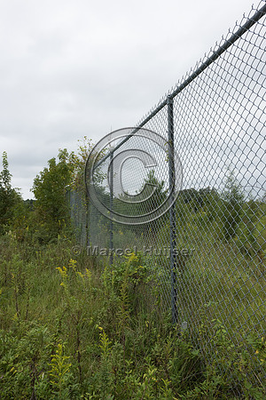 Wildlife fence for black bear (Ursus americanus), 3 m high (10 f