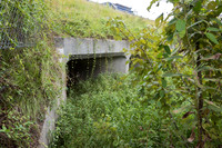 Divided culverts for water, and wildlife fence for black bear (U