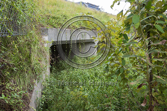 Divided culverts for water, and wildlife fence for black bear (U