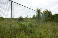 Wildlife fence for black bear (Ursus americanus), 3 m high (10 f