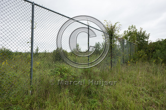 Wildlife fence for black bear (Ursus americanus), 3 m high (10 f
