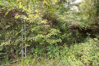 Gate for human access in wildlife fence for black bear (Ursus am