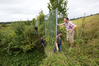 Wildlife fence for black bear (Ursus americanus), 3 m high (10 f