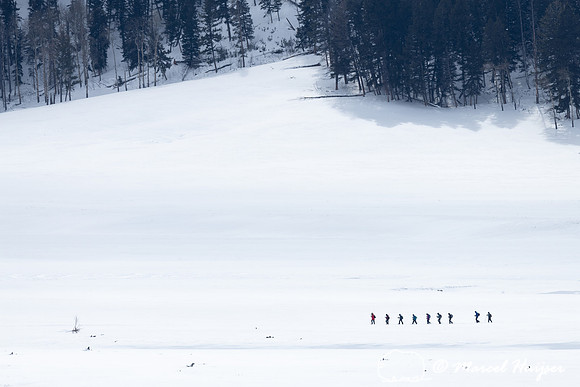 People snowshoeing in Lamar Valley, Yellowstone National Park, U